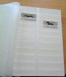 Taca - A4, 60 stron, białe kartki, dzielona strona, 10 linii