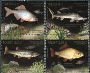 (2016) MiNr. 4861 - 4864 ** - 2 + 2,5 + 3,7 + 6 Zl - Polska - Zagrożone gatunki ryb