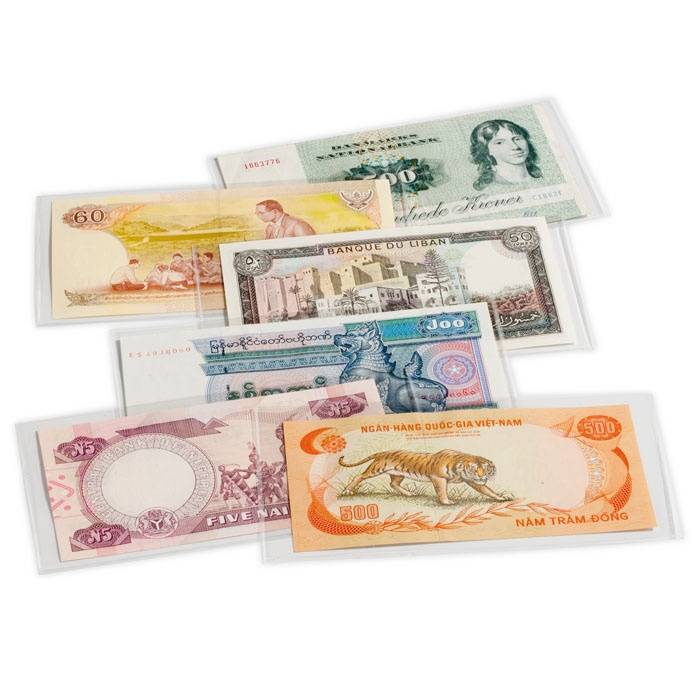 Folia do banknotów BASIC 204 (204x123 mm) 50 szt.