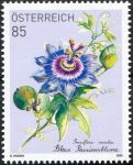 (2020) MiNr. 3510 ** - Austria - Znaczek subskrypcji: Passiflora caerulea (męczennica cielista) (2020) MiNr. 3510 ** - Austria - Znaczek subskrypcji: Passiflora caerulea (męczennica cielista)