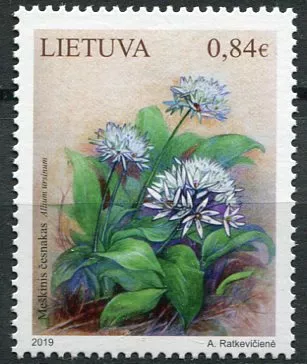 (2019) MiNr. 1312 ** - Litva - medvědí česnek