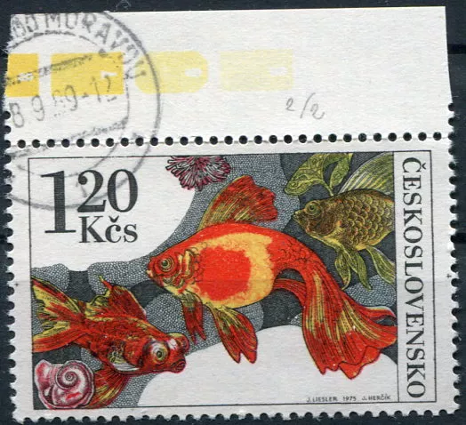 (1975) Pof. 2144 - O - Československo - DV 2/2 - červená skvrna v mušli dole
