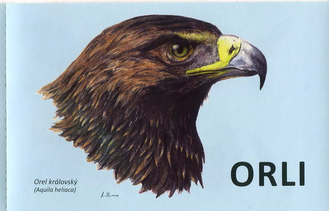 (2024) VZ ZS 0185 - Česká republika - Orli
